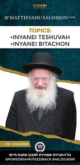 Rav Mattisyahu Salomon Vaadim - English Series 1 - USB